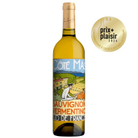 cote-mas-sauvignon-vermentino-2023-1