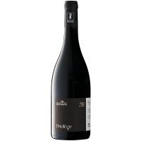 fitou-domaine-de-la-rochelierre-cuvee-privilege-1