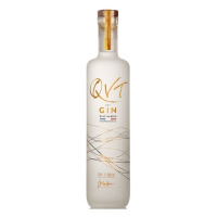 gin qtv